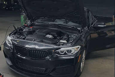 Home Gallery | Image 5