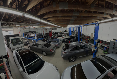 Home Gallery | Image 3